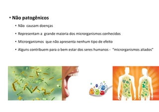 • Não patogênicos
• Não causam doenças
• Representam a grande maioria dos microrganismos conhecidos
• Microrganismos que não apresenta nenhum tipo de efeito
• Alguns contribuem para o bem estar dos seres humanos - “microrganismos aliados”
 