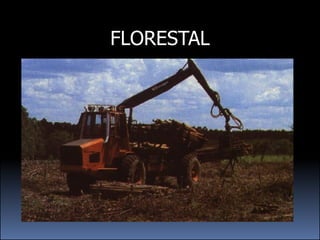 FLORESTAL
 