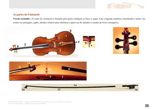 Autor: Marcos Oliveira – Todos os direitos estão em processo de registro na Biblioteca Nacional.
A venda deste material é proibida. Impressão é permitida.
_61
As partes do Violoncelo
Versão resumida - O corpo do violoncelo é formado pela partes configura as fotos a seguir. Leia a legenda numérica consultando a tabela, nos
termos em português, inglês, alemão e francês para referência e apoio uso de métodos e estudos de livros estrangeiros.
 