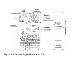 Figura 1 – Terminologia e limites do solo
 