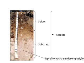A
Bc
C
Cr
Bt
Solum
Substrato
Regolito
Saprolito: rocha em decomposição
 