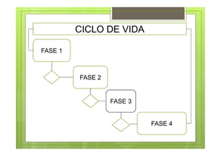 FASE 1
FASE 2
FASE 3
FASE 4
CICLO DE VIDA
 