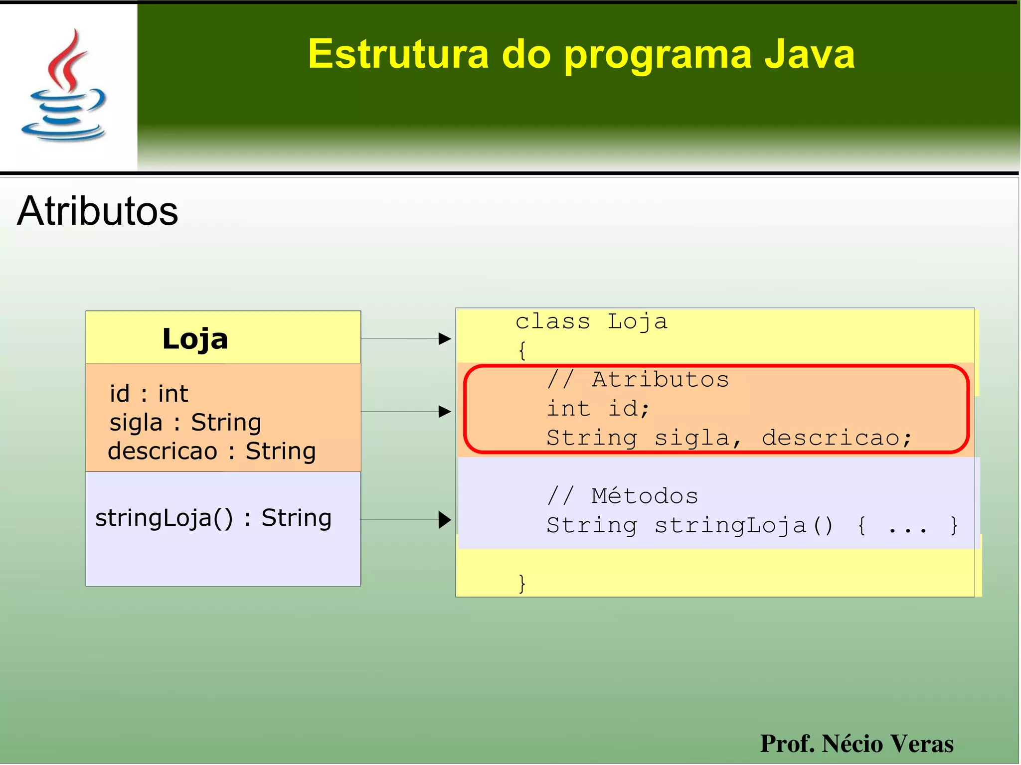 Estrutura do programa Java


Atributos

                               class Loja
         Loja                  {
                                 // Atributos
     id : int
                                 int id;
     sigla : String
                                 String sigla, descricao;
     descricao : String
                                   // Métodos
    stringLoja() : String          String stringLoja() { ... }

                               }




                                                Prof. Nécio Veras
 