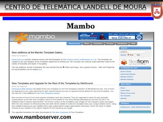 11
Mambo
www.mamboserver.com
 