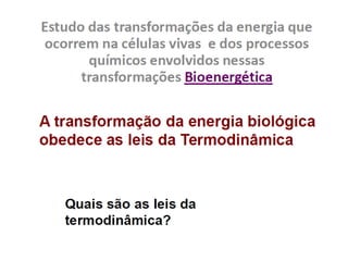 Introdução ao metabolismo fsp