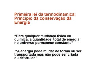 Introdução ao metabolismo fsp