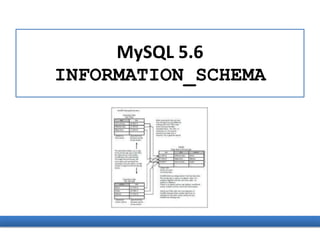 MySQL 5.6
INFORMATION_SCHEMA
 