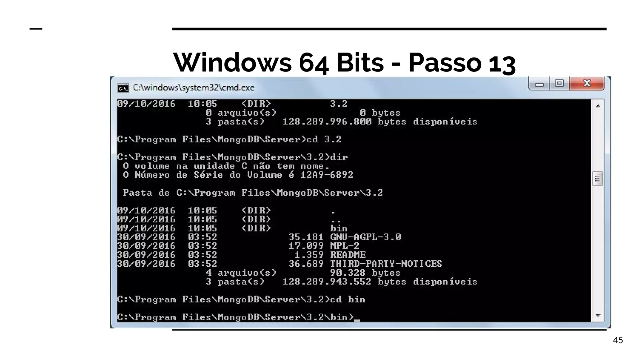 Windows 64 Bits - Passo 13 45 