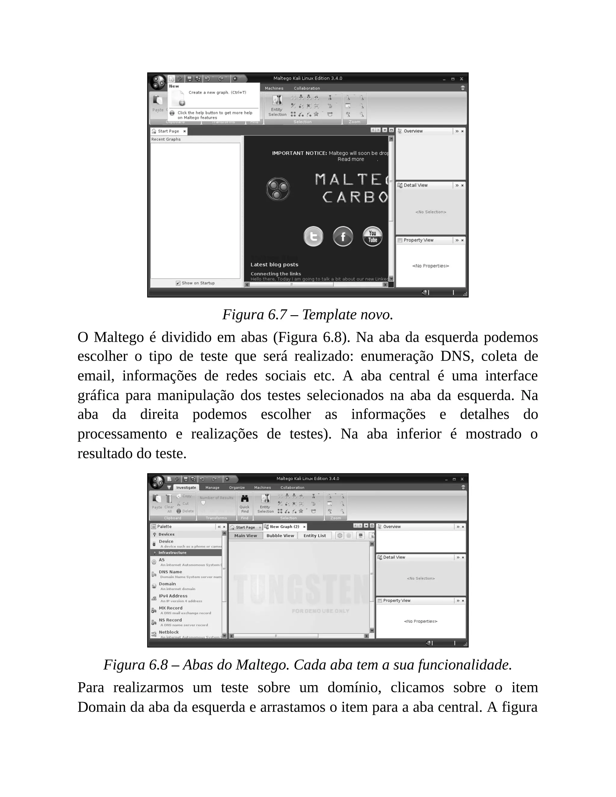 Figura 6.7 – Template novo.
O Maltego é dividido em abas (Figura 6.8). Na aba da esquerda podemos
escolher o tipo de teste que será realizado: enumeração DNS, coleta de
email, informações de redes sociais etc. A aba central é uma interface
gráfica para manipulação dos testes selecionados na aba da esquerda. Na
aba da direita podemos escolher as informações e detalhes do
processamento e realizações de testes). Na aba inferior é mostrado o
resultado do teste.
Figura 6.8 – Abas do Maltego. Cada aba tem a sua funcionalidade.
Para realizarmos um teste sobre um domínio, clicamos sobre o item
Domain da aba da esquerda e arrastamos o item para a aba central. A figura
 