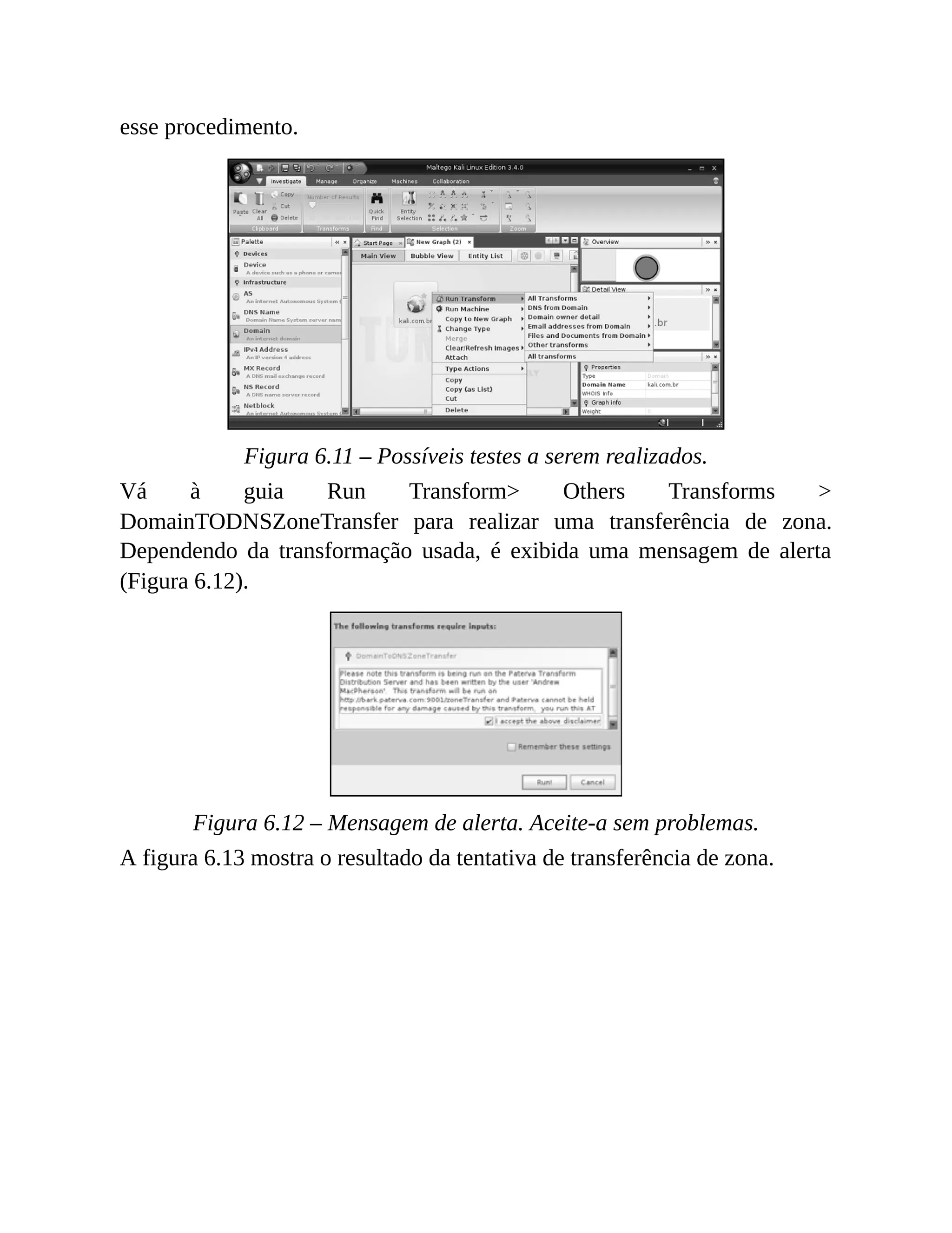 esse procedimento.
Figura 6.11 – Possíveis testes a serem realizados.
Vá à guia Run Transform> Others Transforms >
DomainTODNSZoneTransfer para realizar uma transferência de zona.
Dependendo da transformação usada, é exibida uma mensagem de alerta
(Figura 6.12).
Figura 6.12 – Mensagem de alerta. Aceite-a sem problemas.
A figura 6.13 mostra o resultado da tentativa de transferência de zona.
 