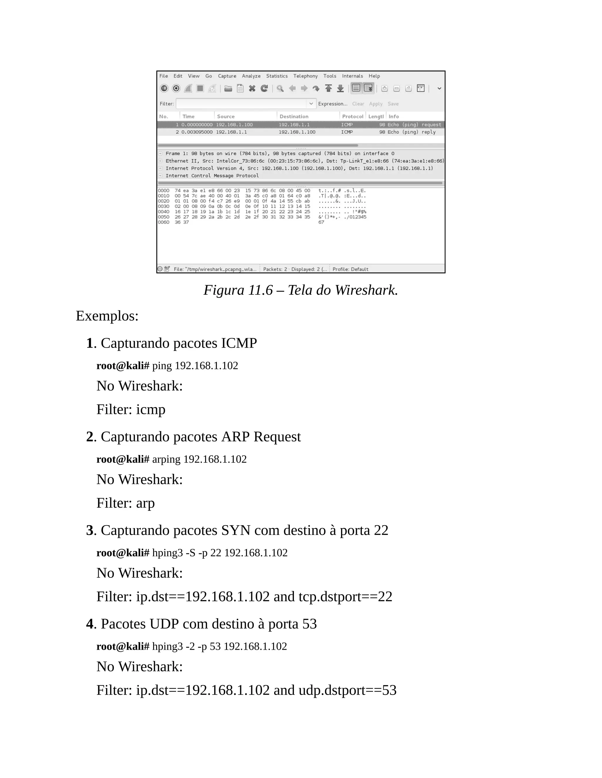Figura 11.6 – Tela do Wireshark.
Exemplos:
1. Capturando pacotes ICMP
root@kali# ping 192.168.1.102
No Wireshark:
Filter: icmp
2. Capturando pacotes ARP Request
root@kali# arping 192.168.1.102
No Wireshark:
Filter: arp
3. Capturando pacotes SYN com destino à porta 22
root@kali# hping3 -S -p 22 192.168.1.102
No Wireshark:
Filter: ip.dst==192.168.1.102 and tcp.dstport==22
4. Pacotes UDP com destino à porta 53
root@kali# hping3 -2 -p 53 192.168.1.102
No Wireshark:
Filter: ip.dst==192.168.1.102 and udp.dstport==53
 