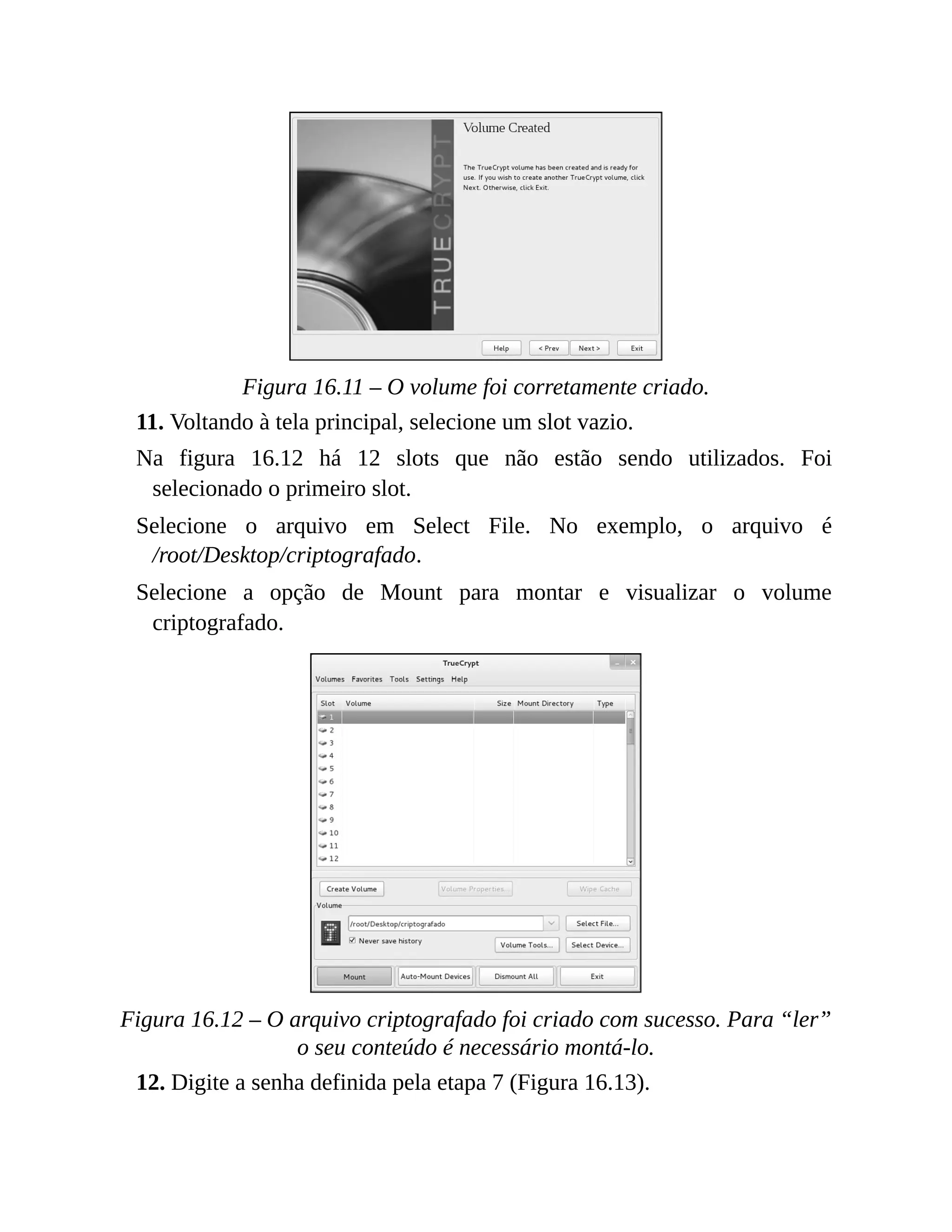 Figura 16.11 – O volume foi corretamente criado.
11. Voltando à tela principal, selecione um slot vazio.
Na figura 16.12 há 12 slots que não estão sendo utilizados. Foi
selecionado o primeiro slot.
Selecione o arquivo em Select File. No exemplo, o arquivo é
/root/Desktop/criptografado.
Selecione a opção de Mount para montar e visualizar o volume
criptografado.
Figura 16.12 – O arquivo criptografado foi criado com sucesso. Para “ler”
o seu conteúdo é necessário montá-lo.
12. Digite a senha definida pela etapa 7 (Figura 16.13).
 