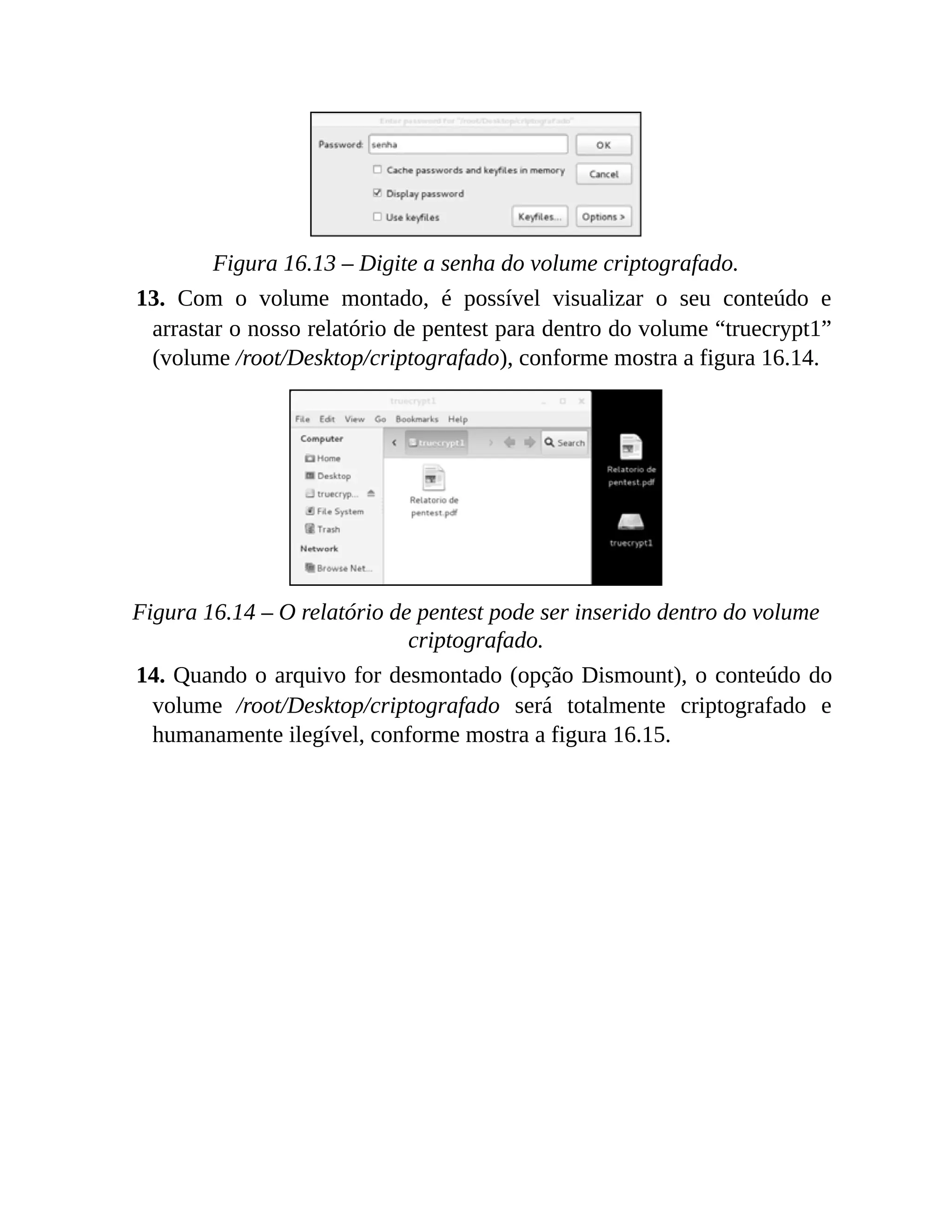 Figura 16.13 – Digite a senha do volume criptografado.
13. Com o volume montado, é possível visualizar o seu conteúdo e
arrastar o nosso relatório de pentest para dentro do volume “truecrypt1”
(volume /root/Desktop/criptografado), conforme mostra a figura 16.14.
Figura 16.14 – O relatório de pentest pode ser inserido dentro do volume
criptografado.
14. Quando o arquivo for desmontado (opção Dismount), o conteúdo do
volume /root/Desktop/criptografado será totalmente criptografado e
humanamente ilegível, conforme mostra a figura 16.15.
 
