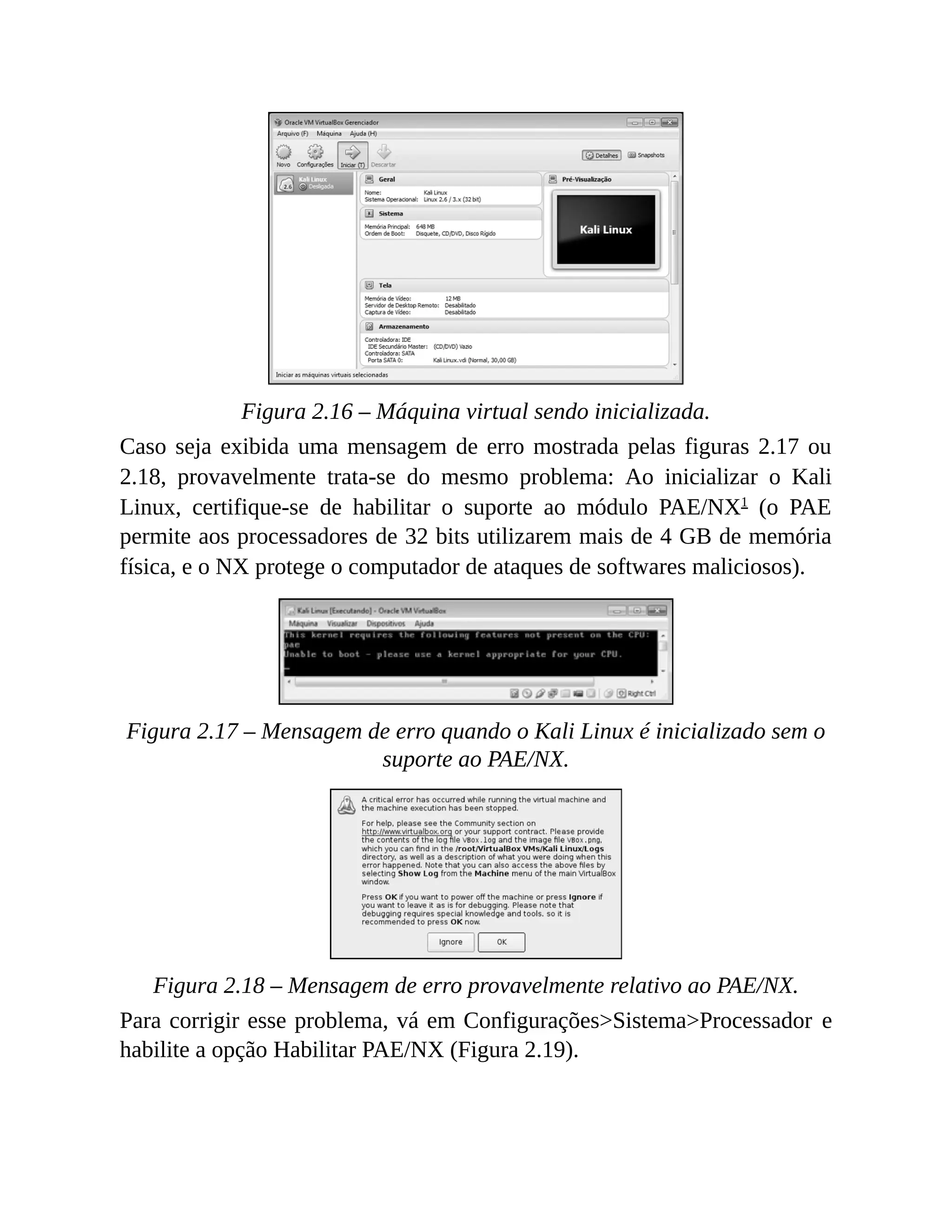 Figura 2.16 – Máquina virtual sendo inicializada.
Caso seja exibida uma mensagem de erro mostrada pelas figuras 2.17 ou
2.18, provavelmente trata-se do mesmo problema: Ao inicializar o Kali
Linux, certifique-se de habilitar o suporte ao módulo PAE/NX1
(o PAE
permite aos processadores de 32 bits utilizarem mais de 4 GB de memória
física, e o NX protege o computador de ataques de softwares maliciosos).
Figura 2.17 – Mensagem de erro quando o Kali Linux é inicializado sem o
suporte ao PAE/NX.
Figura 2.18 – Mensagem de erro provavelmente relativo ao PAE/NX.
Para corrigir esse problema, vá em Configurações>Sistema>Processador e
habilite a opção Habilitar PAE/NX (Figura 2.19).
 