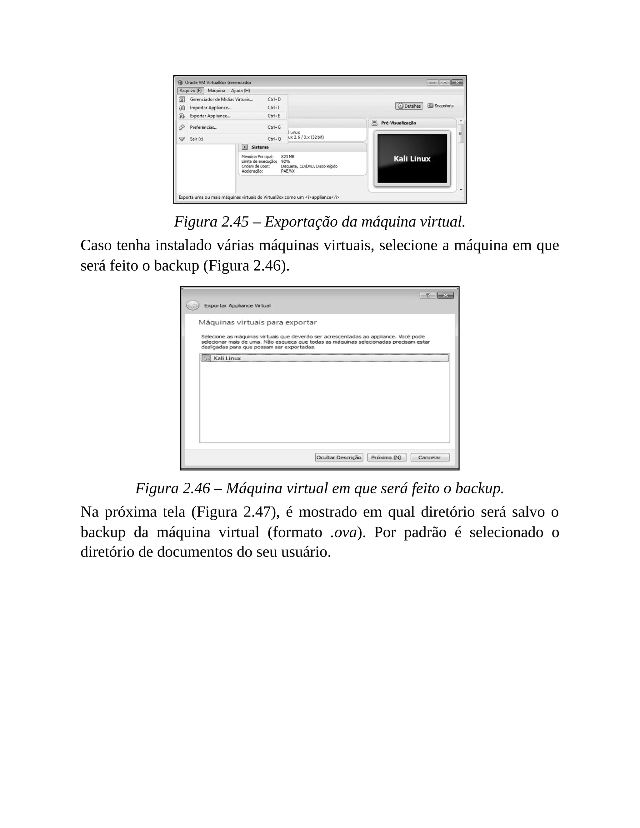 Figura 2.45 – Exportação da máquina virtual.
Caso tenha instalado várias máquinas virtuais, selecione a máquina em que
será feito o backup (Figura 2.46).
Figura 2.46 – Máquina virtual em que será feito o backup.
Na próxima tela (Figura 2.47), é mostrado em qual diretório será salvo o
backup da máquina virtual (formato .ova). Por padrão é selecionado o
diretório de documentos do seu usuário.
 