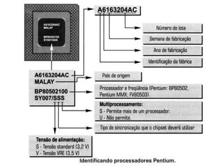 Acessa a mesma quantidade  de memória  (4 GB)  e memória  virtual  (64 TB). Como  seu modo  protegido  é muito  parecido  com  o modo protegido do 486, o Pentium é considerado um processador de 32 bits, pois manipula instruções e dados de 32 bits, como fazem o 386 e o 486.Características do Pentium Barramento de dados de 64 bits