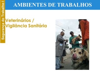AMBIENTES DE TRABALHOS Veterinários / Vigilância Sanitária 
