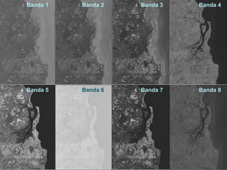 Banda 1   Banda 2   Banda 3   Banda 4




Banda 5   Banda 6   Banda 7   Banda 8
 