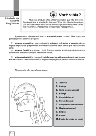 40
Introdução aos
Estudos
Lingüísticos
A produção da fala ocorre através do aparelho fonador humano. Ele é composto
pelos seguintes sistemas e órgãos:
123456789012345678901234567890121234567890123456789012345678901212345678901234567890123456789012123456789
123456789012345678901234567890121234567890123456789012345678901212345678901234567890123456789012123456789123456789012345678901234567890121234567890123456789012345678901212345678901234567890123456789012123456789
123456789012345678901234567890121234567890123456789012345678901212345678901234567890123456789012123456789
123456789012345678901234567890121234567890123456789012345678901212345678901234567890123456789012123456789
123456789012345678901234567890121234567890123456789012345678901212345678901234567890123456789012123456789123456789012345678901234567890121234567890123456789012345678901212345678901234567890123456789012123456789
123456789012345678901234567890121234567890123456789012345678901212345678901234567890123456789012123456789
123456789012345678901234567890121234567890123456789012345678901212345678901234567890123456789012123456789123456789012345678901234567890121234567890123456789012345678901212345678901234567890123456789012123456789
123456789012345678901234567890121234567890123456789012345678901212345678901234567890123456789012123456789
123456789012345678901234567890121234567890123456789012345678901212345678901234567890123456789012123456789
123456789012345678901234567890121234567890123456789012345678901212345678901234567890123456789012123456789
123456789012345678901234567890121234567890123456789012345678901212345678901234567890123456789012123456789123456789012345678901234567890121234567890123456789012345678901212345678901234567890123456789012123456789
123456789012345678901234567890121234567890123456789012345678901212345678901234567890123456789012123456789
123456789012345678901234567890121234567890123456789012345678901212345678901234567890123456789012123456789
123456789012345678901234567890121234567890123456789012345678901212345678901234567890123456789012123456789
123456789012345678901234567890121234567890123456789012345678901212345678901234567890123456789012123456789123456789012345678901234567890121234567890123456789012345678901212345678901234567890123456789012123456789
123456789012345678901234567890121234567890123456789012345678901212345678901234567890123456789012123456789
123456789012345678901234567890121234567890123456789012345678901212345678901234567890123456789012123456789123456789012345678901234567890121234567890123456789012345678901212345678901234567890123456789012123456789
123456789012345678901234567890121234567890123456789012345678901212345678901234567890123456789012123456789
123456789012345678901234567890121234567890123456789012345678901212345678901234567890123456789012123456789
123456789012345678901234567890121234567890123456789012345678901212345678901234567890123456789012123456789
123456789012345678901234567890121234567890123456789012345678901212345678901234567890123456789012123456789123456789012345678901234567890121234567890123456789012345678901212345678901234567890123456789012123456789
123456789012345678901234567890121234567890123456789012345678901212345678901234567890123456789012123456789
123456789012345678901234567890121234567890123456789012345678901212345678901234567890123456789012123456789123456789012345678901234567890121234567890123456789012345678901212345678901234567890123456789012123456789
123456789012345678901234567890121234567890123456789012345678901212345678901234567890123456789012123456789
123456789012345678901234567890121234567890123456789012345678901212345678901234567890123456789012123456789
123456789012345678901234567890121234567890123456789012345678901212345678901234567890123456789012123456789
123456789012345678901234567890121234567890123456789012345678901212345678901234567890123456789012123456789123456789012345678901234567890121234567890123456789012345678901212345678901234567890123456789012123456789
123456789012345678901234567890121234567890123456789012345678901212345678901234567890123456789012123456789
123456789012345678901234567890121234567890123456789012345678901212345678901234567890123456789012123456789
Que para produzir a fala utilizamos órgãos que não têm como
função primária a articulação dos sons? Este fato é bastante curioso,
pois em nosso corpo nenhum dos nossos órgãos são específicos para a
fala: respiramos, mastigamos, protegemos o nosso pulmão...
Você sabia ?
Olhe com atenção para a figura abaixo:
sistema respiratório: composto pelos pulmões, brônquios e traquéia,são os
órgãos respiratórios que permitem a entrada da corrente de ar, sem a qual não existiriam
sons;
sistema fonatório - laringe: onde ficam as cordas vocais que determinam a
sonoridade, através da vibração das cordas vocais;
sistema articulatório: composto pela faringe, boca (língua e dentes) e as fossas
nasais formam a caixa de ressonância responsável por grande parte da variedade de sons.
Fonte: Silva, 1999.
1. Traquéia
2. Laringe
3. Glote (cordas vocais)
4. Faringe
5. Cavidade bucal
6. Cavidade nasal
7. Véu palatino ou Palato mole
8. Maxilares (dentes)
9. Língua
10.Lábios
11. Palato duro (céu da boca)
 