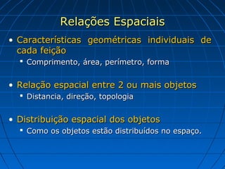 Relações Espaciais
• Características geométricas individuais de
  cada feição
   Comprimento, área, perímetro, forma


• Relação espacial entre 2 ou mais objetos
   Distancia, direção, topologia


• Distribuição espacial dos objetos
   Como os objetos estão distribuídos no espaço.
 