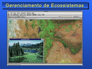 Gerenciamento de Ecossistemas
Gerenciamento de Ecossistemas
 
