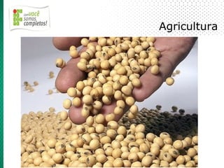 Agricultura
 