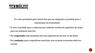 TERMÓLISE
É o calor produzido pelo animal tem que ser dissipado ou perdido para a
manutenção da homeostase.
 O calor é perdido para o ambiente por radiação emitida da superfície do corpo
para um ambiente mais frio.
 Por evaporação, das secreções das vias respiratórias, do suor ou da saliva.
 Por condução, para a superfícies mais frias, com as quais os animais estão em
contato.
 