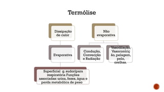 Dissipação
de calor
Evaporativa
Superficial g. sudorípara
respiratória Funções
associadas: urina, fezes, água e
perda metabólica de peso
Não
evaporativa
Condução,
Convecção
e Radiação
Vasodilação,
Vasocontriç
ão, pelagem,
pelo,
orelhas.
Termólise
 