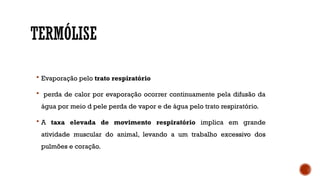 TERMÓLISE
 Evaporação pelo trato respiratório
 perda de calor por evaporação ocorrer continuamente pela difusão da
água por meio d pele perda de vapor e de água pelo trato respiratório.
 A taxa elevada de movimento respiratório implica em grande
atividade muscular do animal, levando a um trabalho excessivo dos
pulmões e coração.
 