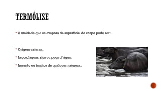 TERMÓLISE
 A umidade que se evapora da superfície do corpo pode ser:
 Origem externa;
 Lagos, lagoas, rios ou poça d’ água.
 Imersão ou banhos de qualquer natureza.
 