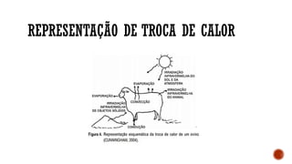 REPRESENTAÇÃO DE TROCA DE CALOR
 