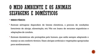 O MEIO AMBIENTE E OS ANIMAIS
SELVAGENS E DOMÉSTICOS
 MEIO FÍSICO:
 Animais selvagens: dependem de fatores climáticos, a procura de condições
favoráveis de abrigo, alimentação, etc; Vão em busca de recursos migratórios e
adaptações de conduta.
 Animais domésticos: são protegidos pelo homem, que estão sempre adaptando o
manejo ao seu conforto térmico. Usam abrigos artificiais e vegetações apropriadas
para sombreamento.
 