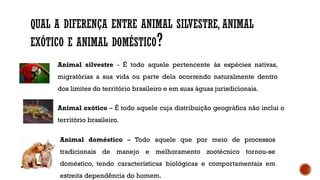 QUAL A DIFERENÇA ENTRE ANIMAL SILVESTRE, ANIMAL
EXÓTICO E ANIMAL DOMÉSTICO?
Animal silvestre - É todo aquele pertencente às espécies nativas,
migratórias a sua vida ou parte dela ocorrendo naturalmente dentro
dos limites do território brasileiro e em suas águas jurisdicionais.
Animal exótico – É todo aquele cuja distribuição geográfica não inclui o
território brasileiro.
Animal doméstico – Todo aquele que por meio de processos
tradicionais de manejo e melhoramento zootécnico tornou-se
doméstico, tendo características biológicas e comportamentais em
estreita dependência do homem.
 
