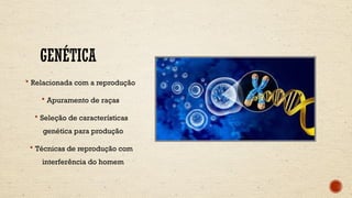 GENÉTICA
 Relacionada com a reprodução
 Apuramento de raças
 Seleção de características
genética para produção
 Técnicas de reprodução com
interferência do homem
 