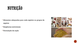 NUTRIÇÃO
 Alimentos adequados para cada espécie ou grupos de
espécie
 Exigências nutricionais
 Formulação de ração
 