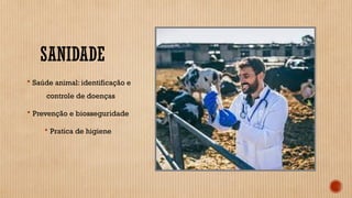 SANIDADE
 Saúde animal: identificação e
controle de doenças
 Prevenção e biosseguridade
 Pratica de higiene
 
