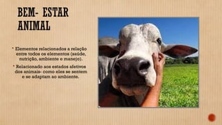 BEM- ESTAR
ANIMAL
 Elementos relacionados a relação
entre todos os elementos (saúde,
nutrição, ambiente e manejo).
 Relacionado aos estados afetivos
dos animais- como eles se sentem
e se adaptam ao ambiente.
 
