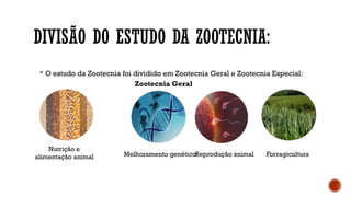 DIVISÃO DO ESTUDO DA ZOOTECNIA:
 O estudo da Zootecnia foi dividido em Zootecnia Geral e Zootecnia Especial:
Zootecnia Geral
Forragicultura
Nutrição e
alimentação animal Reprodução animal
Melhoramento genético
 