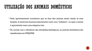 UTILIZAÇÃO DOS ANIMAIS DOMÉSTICOS
 Todo aproveitamento econômico que se faça dos animais estará aliado as suas
funções. A zootecnia funciona basicamente como uma “indústria”, na qual o animal
é aproveitado como uma máquina viva.
 De acordo com a eficiência das atividades fisiológicas, os animais domésticos são
classificados em FUNÇÕES.
 