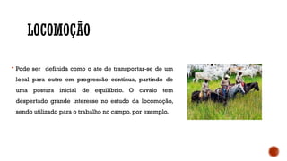 LOCOMOÇÃO
 Pode ser definida como o ato de transportar-se de um
local para outro em progressão contínua, partindo de
uma postura inicial de equilíbrio. O cavalo tem
despertado grande interesse no estudo da locomoção,
sendo utilizado para o trabalho no campo, por exemplo.
 