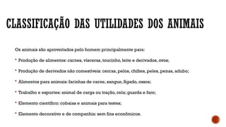 CLASSIFICAÇÃO DAS UTILIDADES DOS ANIMAIS
Os animais são aproveitados pelo homem principalmente para:
 Produção de alimentos: carnes, vísceras, toucinho, leite e derivados, ovos;
 Produção de derivados não comestíveis: cercas, pelos, chifres, peles, penas, adubo;
 Alimentos para animais: farinhas de carne, sangue, fígado, ossos;
 Trabalho e esportes: animal de carga ou tração, cela; guarda e faro;
 Elemento científico: cobaias e animais para testes;
 Elemento decorativo e de companhia: sem fins econômicos.
 
