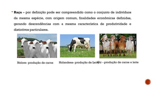  Raça – por definição pode ser compreendido como o conjunto de indivíduos
da mesma espécie, com origem comum, finalidades econômicas definidas,
gerando descendências com a mesma característica de produtividade e
distintivos particulares.
Nelore- produção de carne Holandesa- produção de Leite
Gir - produção de carne e leite
 