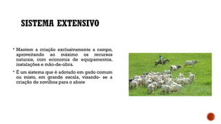 SISTEMA EXTENSIVO
 Mantem a criação exclusivamente a campo,
aproveitando ao máximo os recursos
naturais, com economia de equipamentos,
instalações e mão-de-obra.
 É um sistema que é adotado em gado comum
ou misto, em grande escala, visando- se a
criação de novilhos para o abate
 