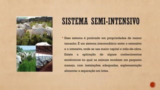 SISTEMA SEMI-INTENSIVO
 Esse sistema é praticado em propriedades de menor
tamanho. É um sistema intermediário entre o extensivo
e o intensivo, onde se usa maior capital e mão-de-obra.
Existe a aplicação de alguns conhecimentos
zootécnicos no qual os animais recebem um pequeno
manejo, com instalações adequadas, suplementação
alimentar e separação em lotes.
 