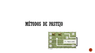 MÉTODOS DE PASTEJO
 