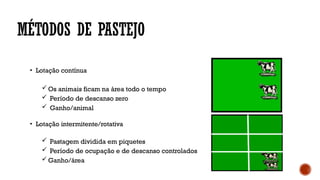 MÉTODOS DE PASTEJO
• Lotação contínua
 Os animais ficam na área todo o tempo
 Período de descanso zero
 Ganho/animal
• Lotação intermitente/rotativa
 Pastagem dividida em piquetes
 Período de ocupação e de descanso controlados
 Ganho/área
 