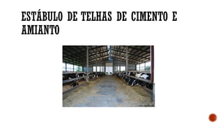 ESTÁBULO DE TELHAS DE CIMENTO E
AMIANTO
 