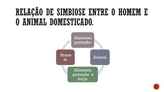 RELAÇÃO DE SIMBIOSE ENTRE O HOMEM E
O ANIMAL DOMESTICADO.
Alimento,
proteção
Animal
Alimento,
proteção e
força
Home
m
 