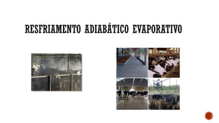 RESFRIAMENTO ADIABÁTICO EVAPORATIVO
 