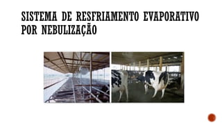 SISTEMA DE RESFRIAMENTO EVAPORATIVO
POR NEBULIZAÇÃO
 